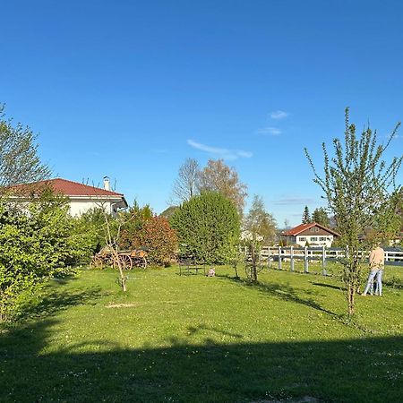 Black Horse Family Apartment - Barrierearm - Pfotenglueck - Familienzeit By Loewenherz Homes Stephanskirchen 外观 照片